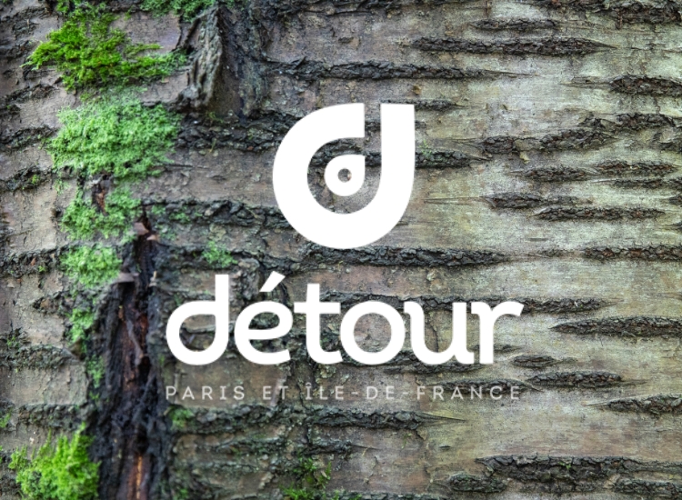 Un parcours numérique sur les arbres remarquables