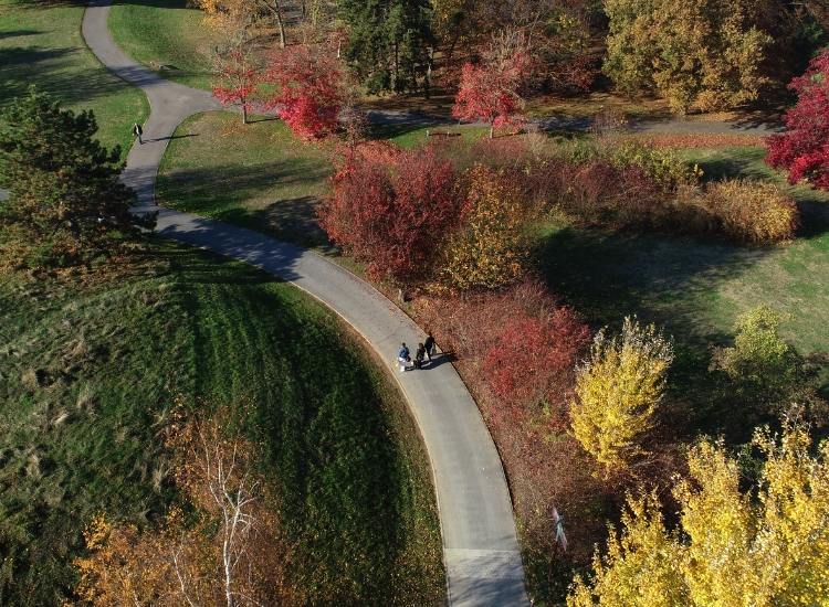 Travaux de sécurisation des allées
