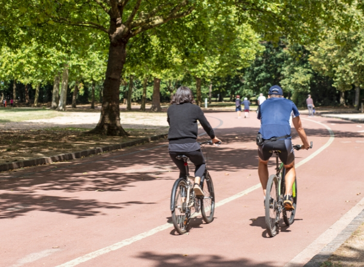 Travaux de rénovation de voiries