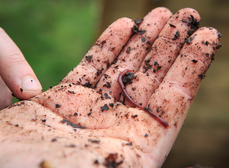 Les mercredis du Sausset en avril