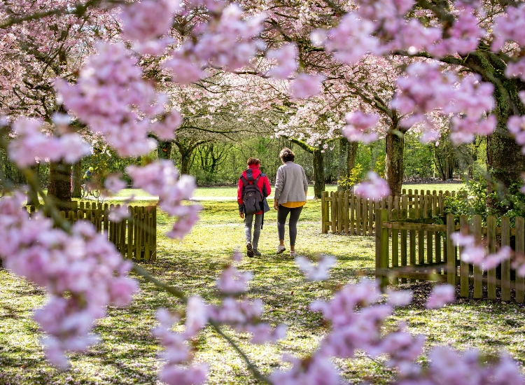 Que faire ce week-end dans les parcs ?