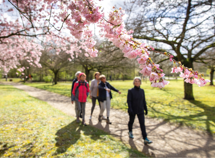 Que faire ce week-end dans les parcs ?