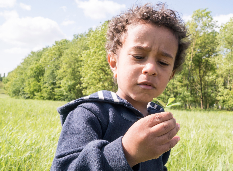 5 activités nature à partager avec les tout-petits