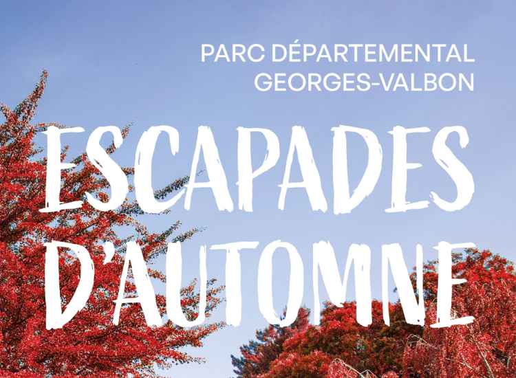 Escapades d&rsquo;automne