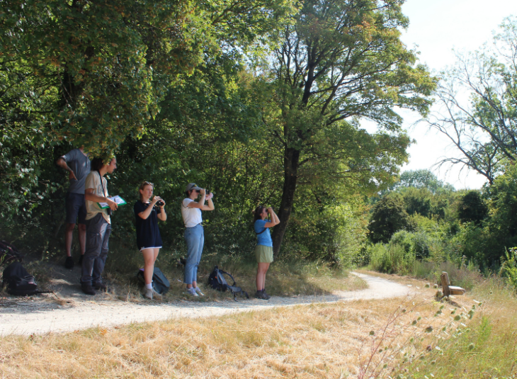 Groupe d'observateurs en forêt de Bernouille © N. Bost